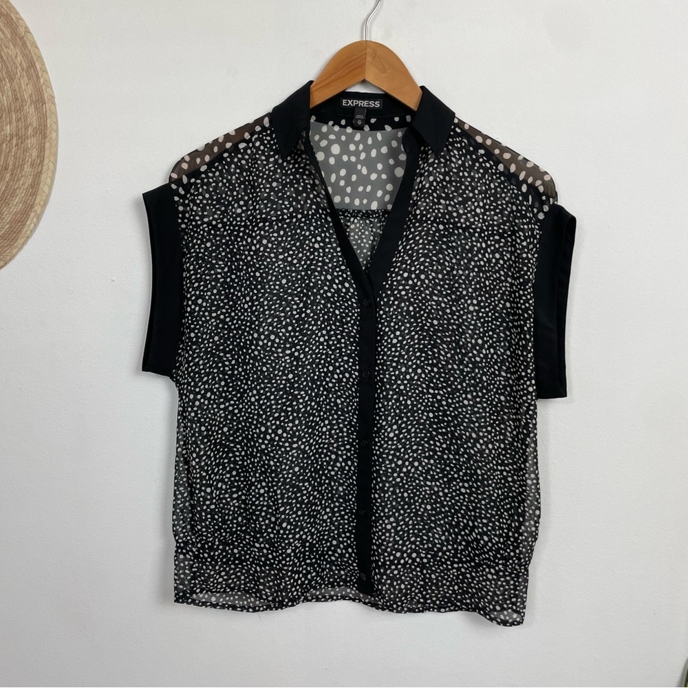 Short Sleeve Button Down Blouse